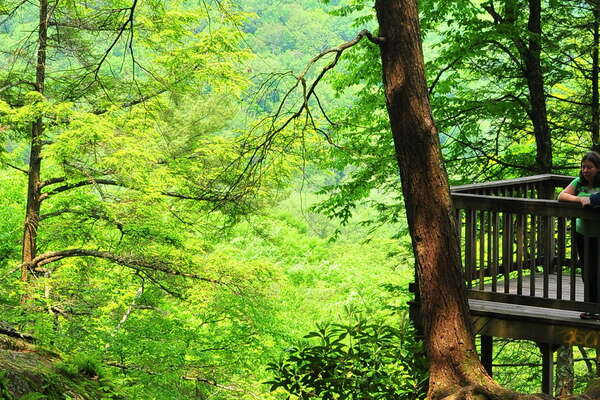 The top of Buttermilk Falls