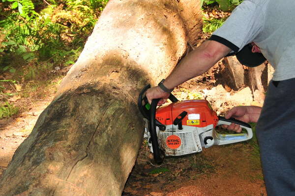 No log roll .. instead we open the trail - 2