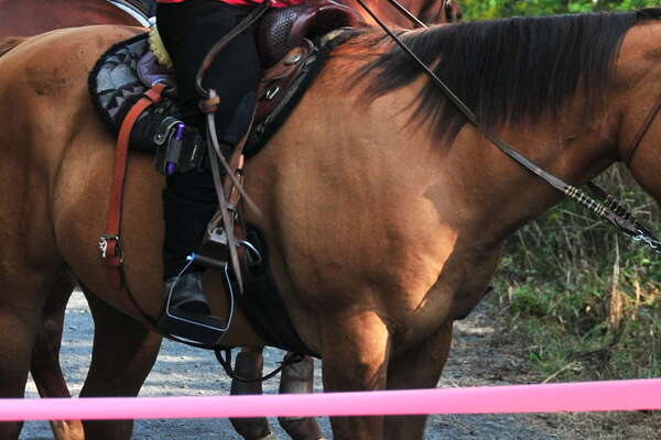 Equestrians love the trail as well!