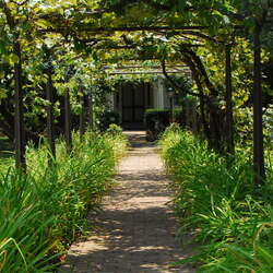 Historic Smithville Park and Smiths Woods