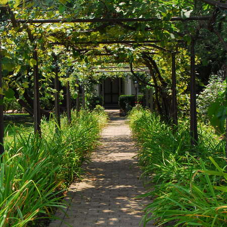 Historic Smithville Park and Smiths Woods