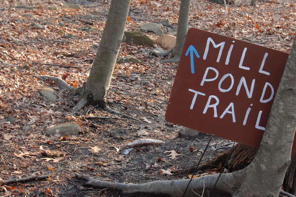 Davidson's Mill Pond