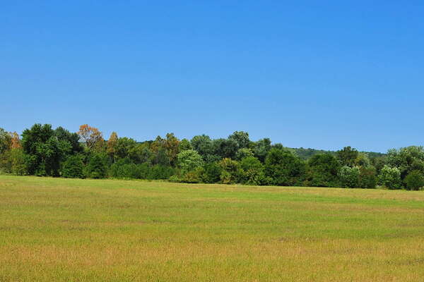 Scenic ride on the Black River and Western Railroad