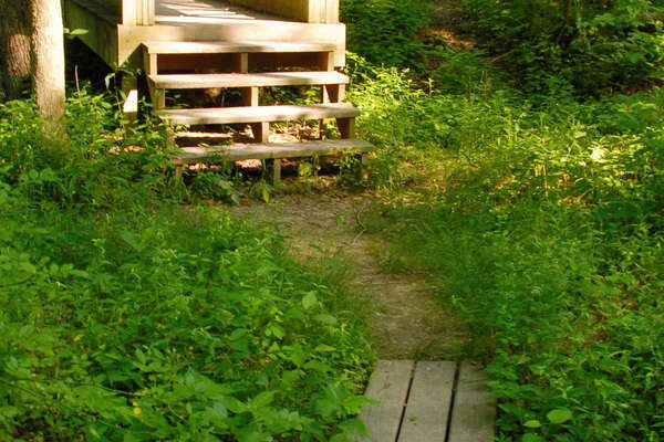 Lots of well kept bridges and boardwalks