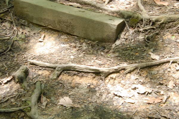 A little help, please