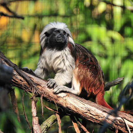 Featured Place: Cape May County Park and Zoo