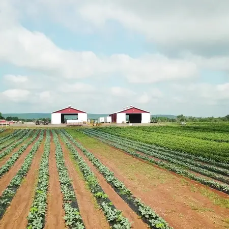 Abma's Farm Hillsborough