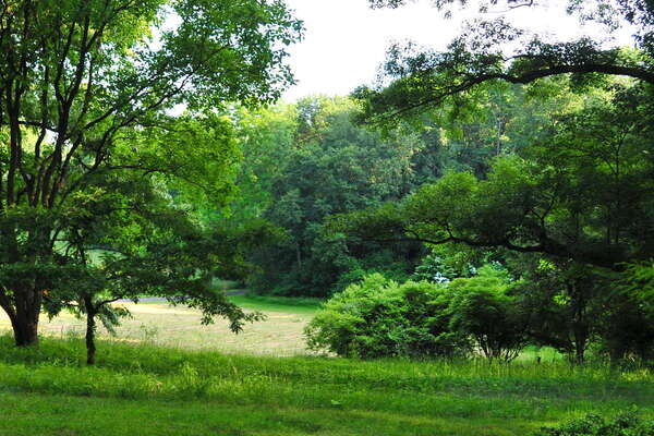 Frelinghuysen Arboretum - June 16th 2014