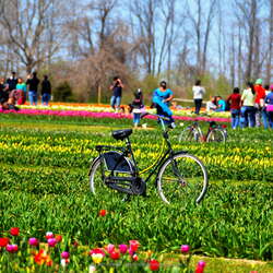 30+ Fun Locations Opening for their 2022 Season