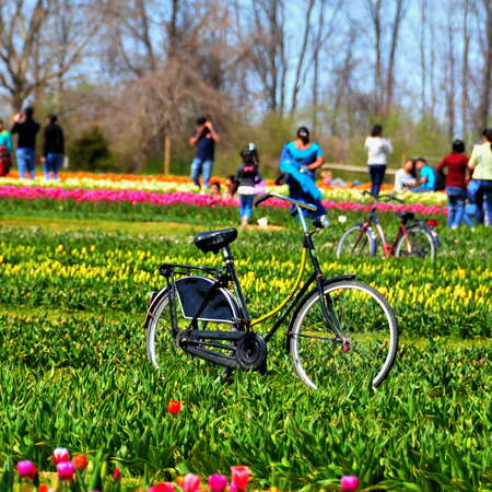 30+ Fun Locations Opening for their 2022 Season