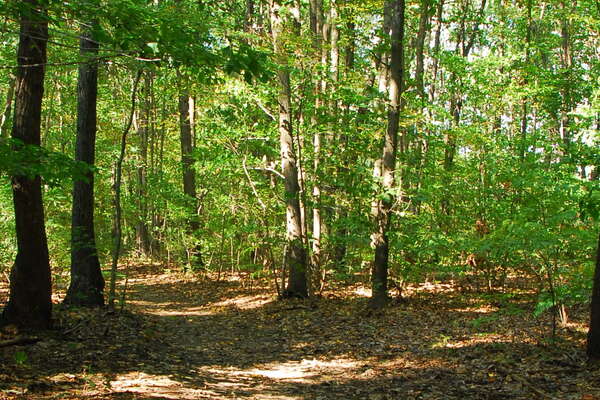 Thompson Park Trails