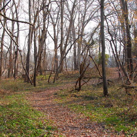 Late November hike through Perrineville Lake Park (2008) - 11/28/2008