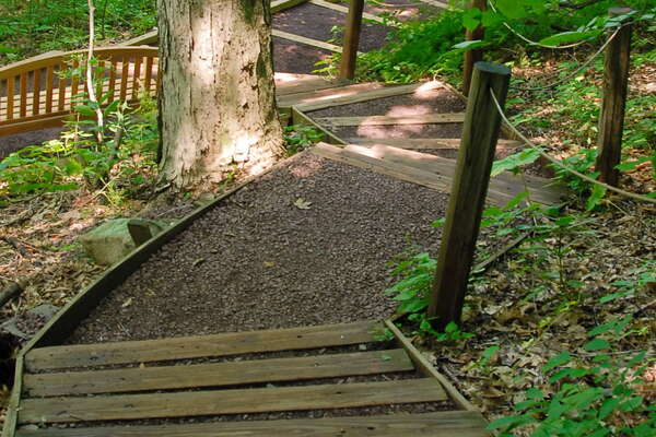 Bowmans Hill Wildflower Preserve
