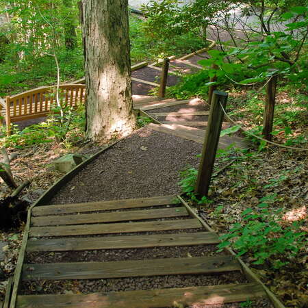 Bowman's Hill Wildflower Preserve