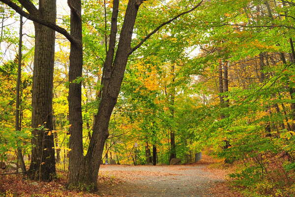 Hiking path, heading south