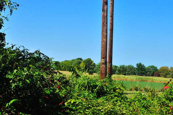 Scenic ride on the Black River and Western Railroad