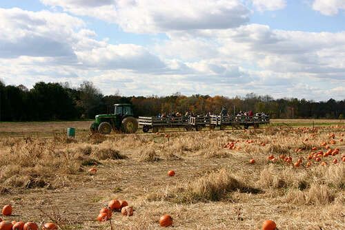 Shady Brook Farm