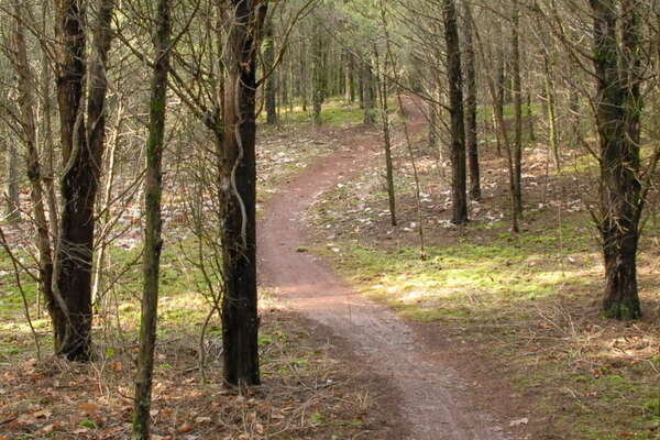 Six Mile Run Reservoir