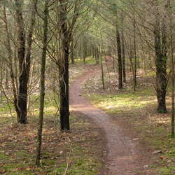 Six Mile Run Reservoir