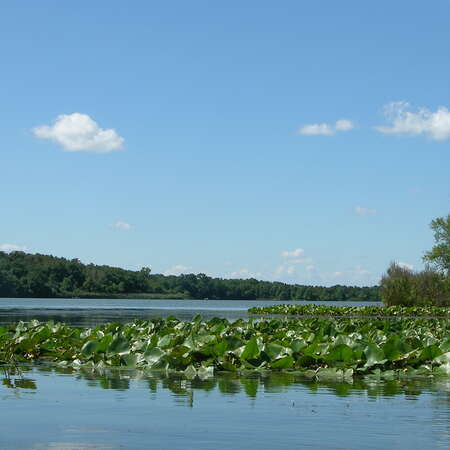 Paddling the Assunpink Wildlife Management Area - 05/26/2012