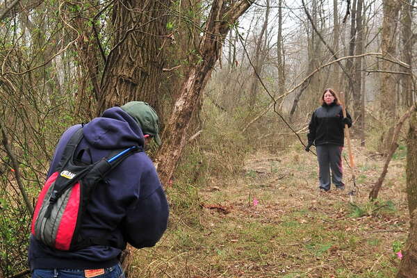 Cutting dead limbs will make this safer