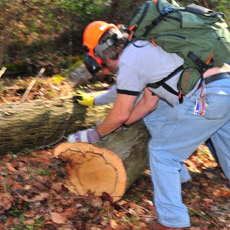 Trail Work in Mercer CP - Sandy Cleanup - Nov 11, 2012 - 11/15/2012