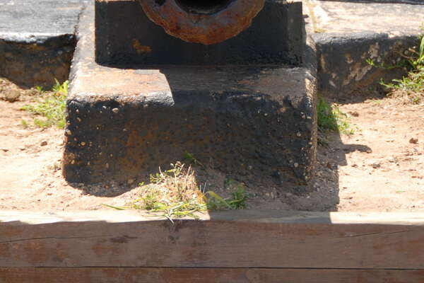 Please don't light that thing