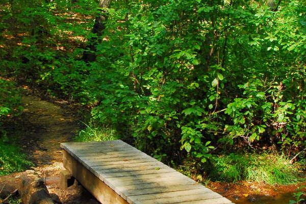 Thompson Park Trails