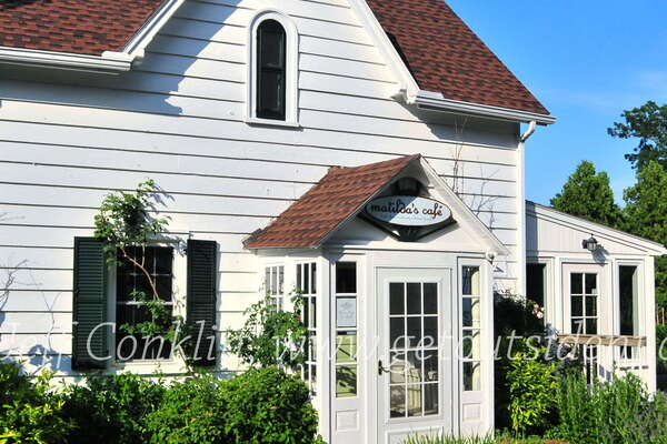 Frelinghuysen Arboretum - June 16th 2014