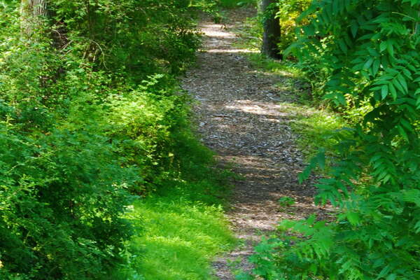 Heading away from the ponds