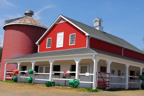 Lord Stirling Stables