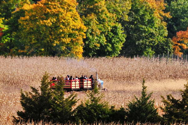 Snyders Farm Fall Festival - 2015