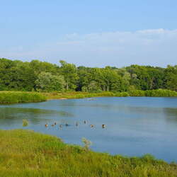 Photos of: Hamilton Veterans Park - 10/31/2015