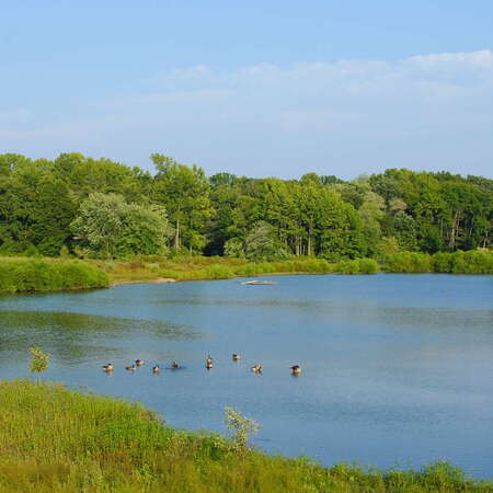 Photos of: Hamilton Veterans Park - 10/31/2015