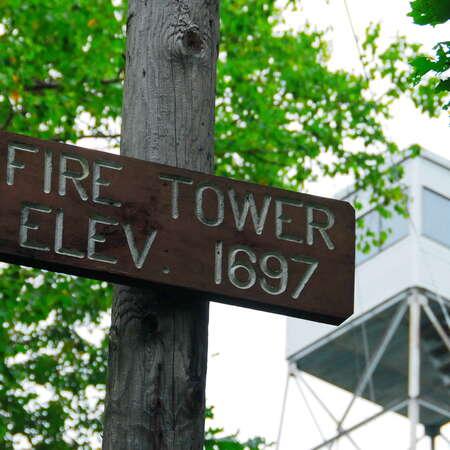 DAR State Forest (MA)