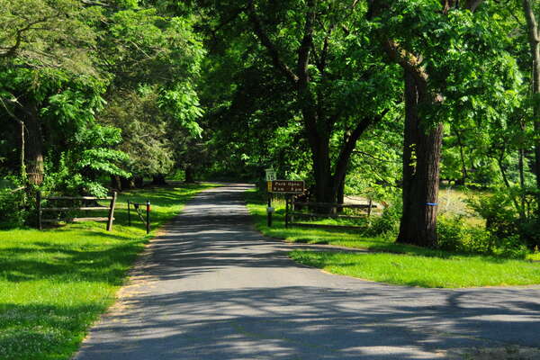 Cross Estate Gardens, 2018