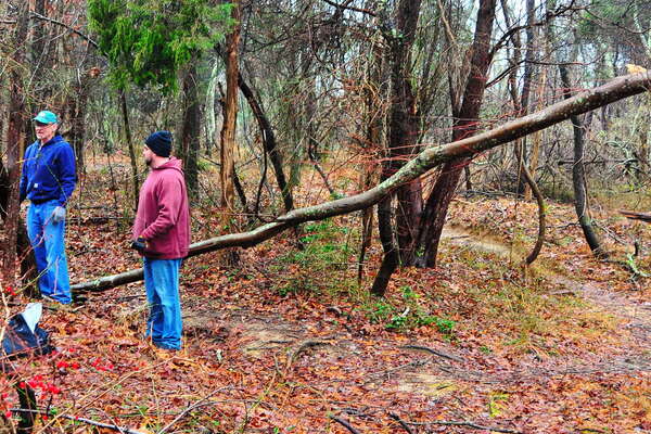 Do not ride / walk under anything like this.. even if they are small