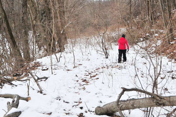 Following the path allong the river