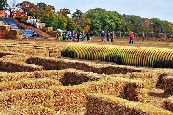 Snyders Farm Fall Festival - 2015