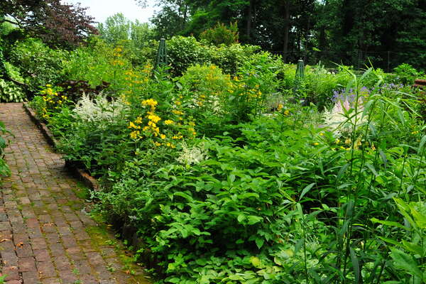 Cross Estate Gardens, 2018