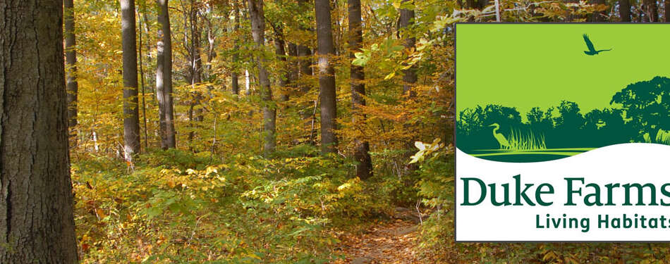 February 2015 Locations, Groups, Galleries, Updates