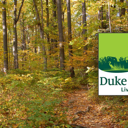 February 2015 Locations, Groups, Galleries, Updates