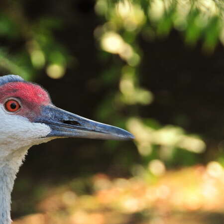 Cape May County Park and Zoo