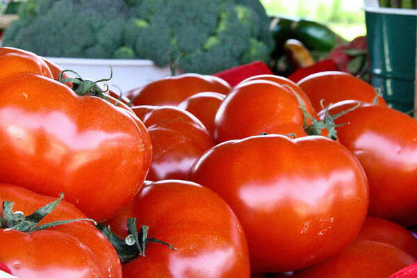 Andersen Farms