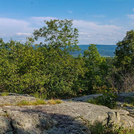 NJ State and County Parks Closed Until Further Notice