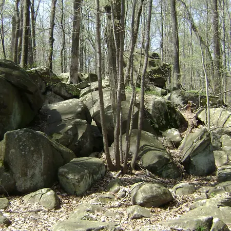 Sourlands Ecosystem Preserve