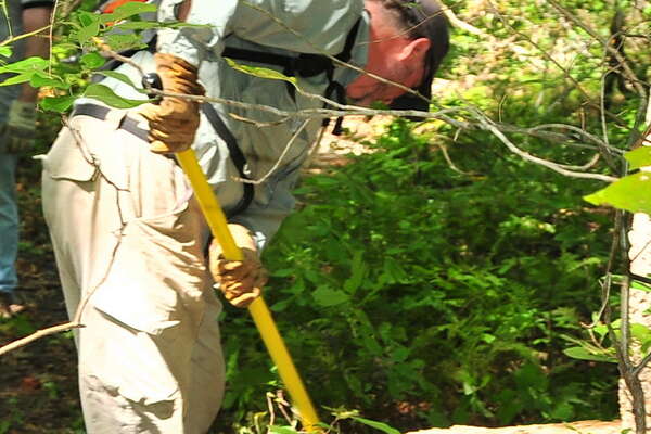 Cleaning up the mess