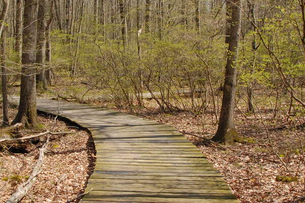 Trails in Lord Stirling Park