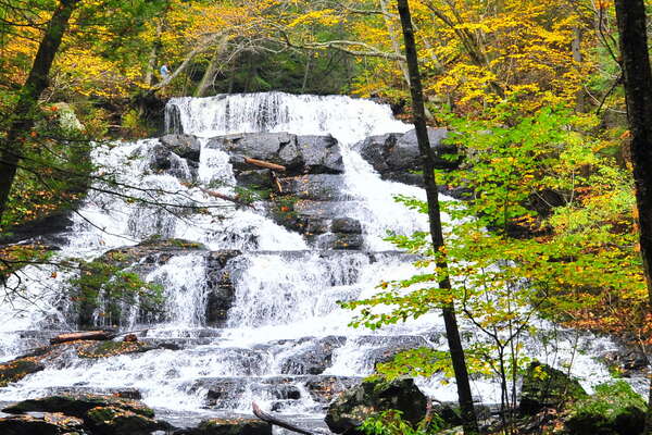 Hornbecks Creek