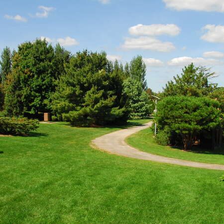 Grounds For Sculpture